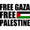 Free gaza Free palestine