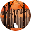 Cat in autumnal forest