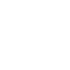 Roller coaster