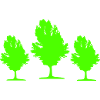 Tree 02