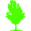 Tree 01