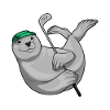 Seal Golf Golf Clubs