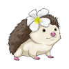 Hedgehog Plumeria Flowers