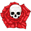 Totenkopf Rose