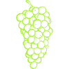 Bunch of grapes