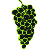 Bunch of Grapes 2