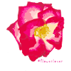 Flowerlover No. 10