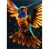 Colibri