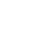 Frenchie Charakter auf vier Pfoten