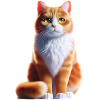 Cute kitty design