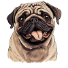 Mops