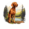 Magyar Vizsla