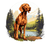 Magyar Vizsla