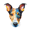 Glatte Foxterrier-Hunderasse buntes Aquarell