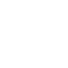 Field Hockey Hockey