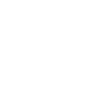 Limited Edition 1979