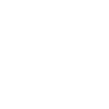 Limited Edition 1982