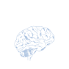 Neurology Nurse Brain Neurologist