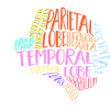 Neurology, Nurse, Brain, Neurologist