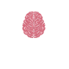 Neurology, Nurse, Brain, Neurologist
