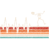 Skeleton Heartbeat