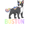 Boston Terrier Maman Chien