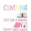 Female Camper Motorhome Camping
