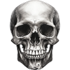 Skull Hand Drawn