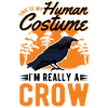 Crow Costume Raven Halloween