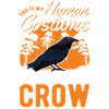 Crow Costume Raven Halloween