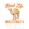 Camel Lover Egypt