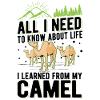 Camel Lover Egypt