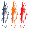 Fishing carp fisherman fish