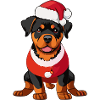Rottweiler Weihnachten