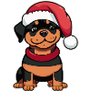 Sweet Rottweiler Christmas