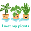 I wet my plants