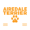 Cadeaux Airedale Terrier