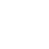 honk megafon
