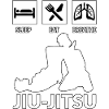 Brazilian Jiu-Jitsu BJJ