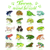 Grenouilles du monde - Grenouille