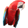 Parrots Bird T-shirt Gift