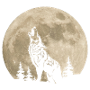 Wolf Moon Forest