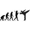 Karate