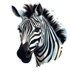 zebra kopf