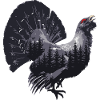 Capercaillie