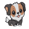 Cute dog