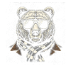 Brown Bear Cool