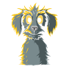 Chien mignon - Scrubby Dogs