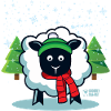 Ewe feeling Chilly?