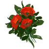Mohnblumen-Strauß